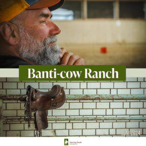 Rückblick: Drei Tage auf der Banti-cow Ranch