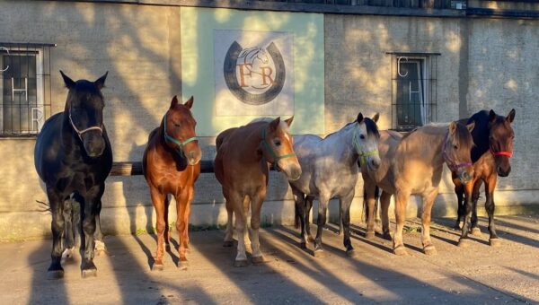 Four Seasons Ranch