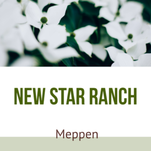 New Star Ranch