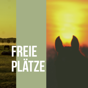 Freie Plätze in BaWü